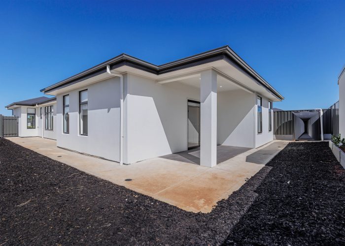 45 Evergreen -6084-E